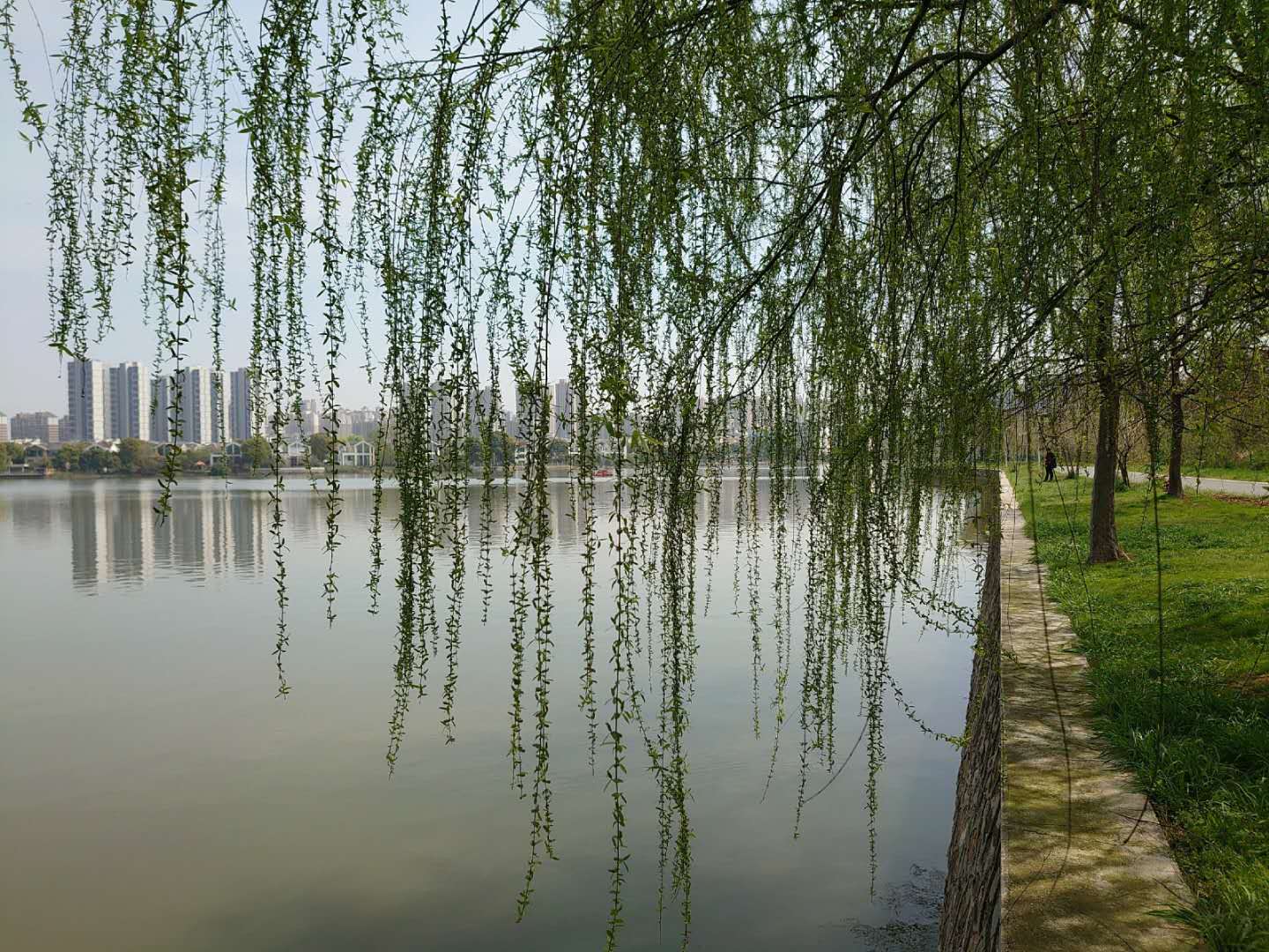 【特别关注】“云赏狮山春”：景从“云”来寄相思