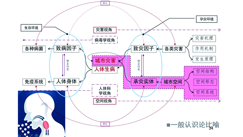 【讲座直击】韧性城市理念下的城市空间适灾基本框架