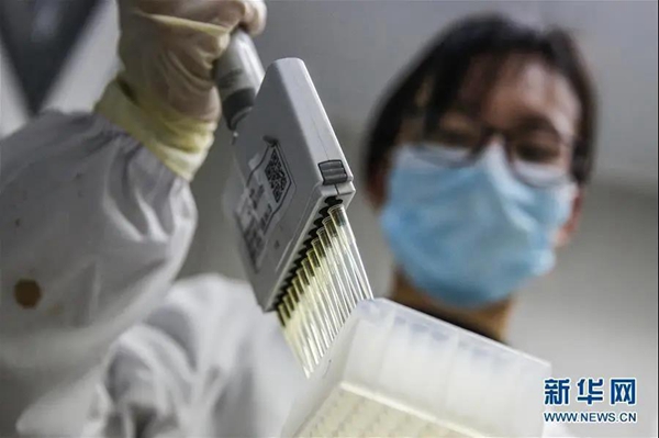 第一批志愿者完成接种！揭秘全球首个新冠灭活疫苗研发背后故事