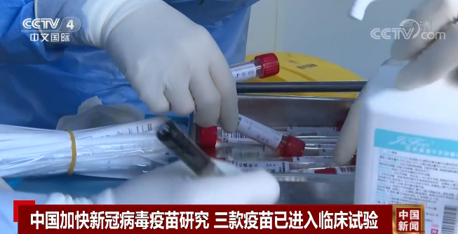 中国加快新冠病毒疫苗研究 三款疫苗已进入临床试验