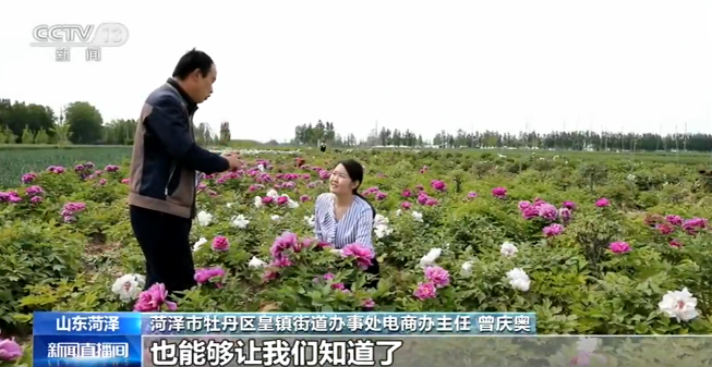 山东菏泽：牡丹花开直播间 多措并举拓市场