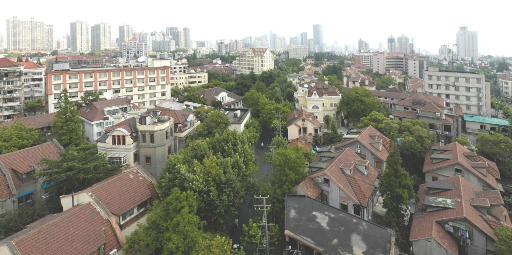 上海市科学技术奖获奖成果③|助力提升城市功能和空间品质