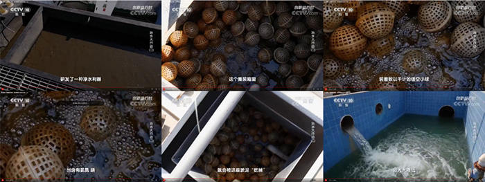 环境学院郑茂盛老师与企业合作研发的水处理技术应用被央视报道