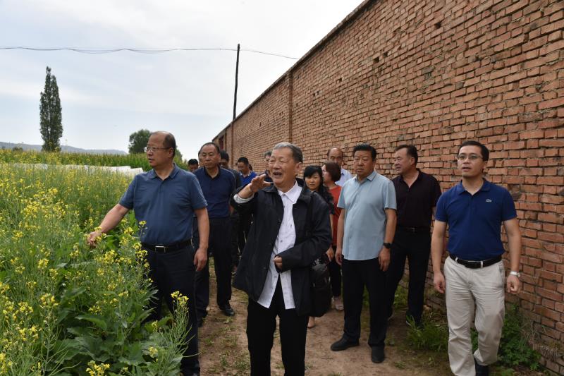 李召虎傅廷栋一行赴甘肃调研油菜产业发展并考察油菜西北夏繁基地