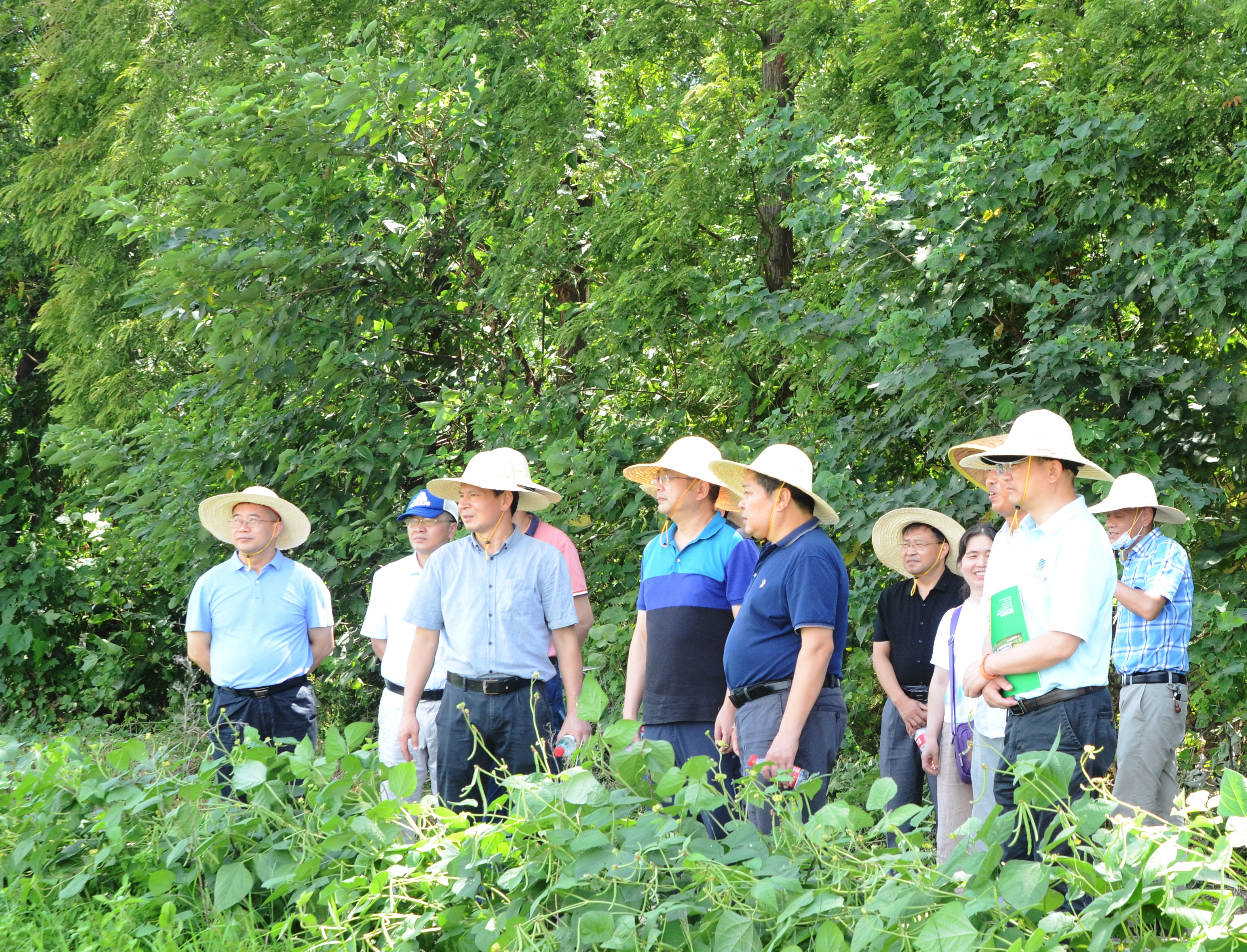 生命科学技术学院赴荆州推进“乡村振兴荆楚行”活动