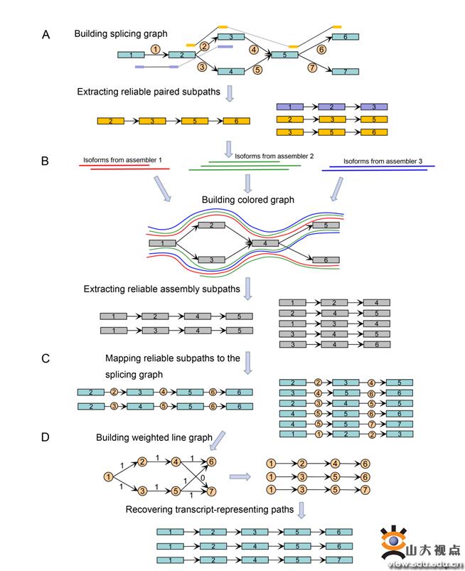 柳军涛等在Genome Research发表重要研究成果