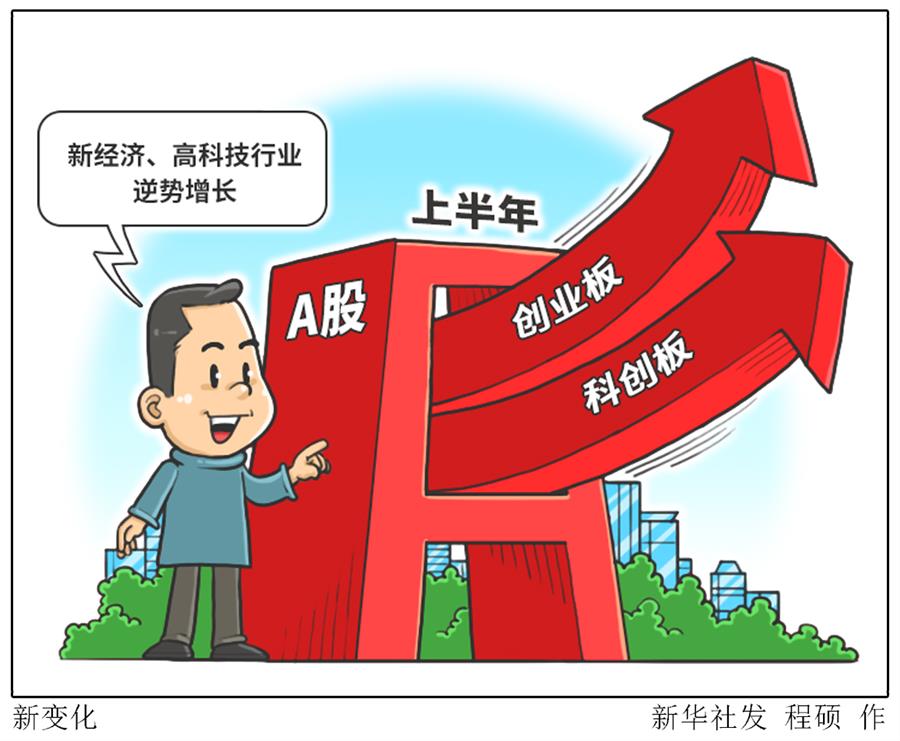 这些行业为何逆势增长？半年报透出经济新变化