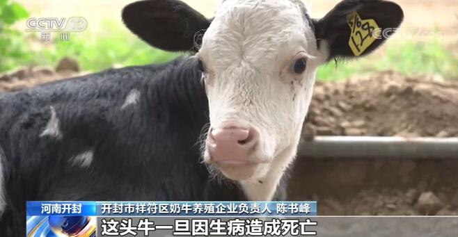 河南开封推出多项农副产品保险 为贫困群众增收托底
