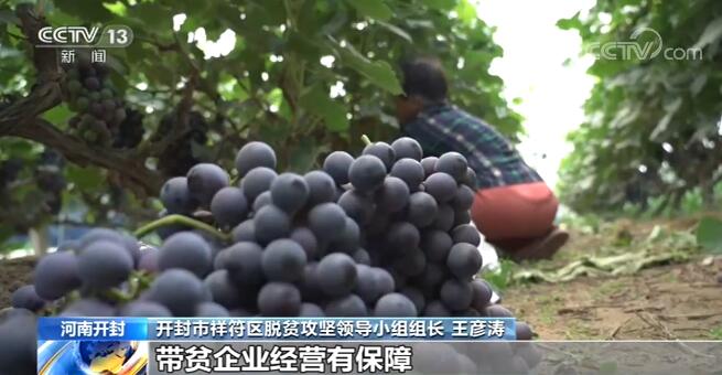 河南开封推出多项农副产品保险 为贫困群众增收托底