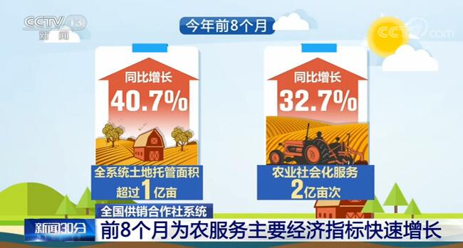 全国供销合作社系统：今年前8个月为农服务主要经济指标快速增长