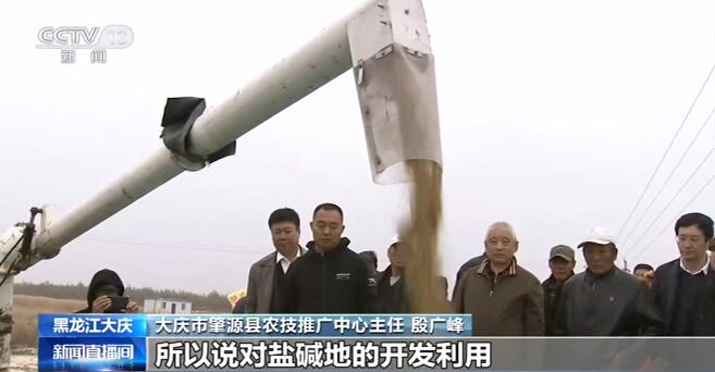 盐碱地改良剂应用成功 秋收测产增收