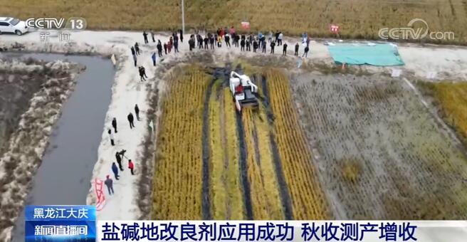 盐碱地改良剂应用成功 秋收测产增收