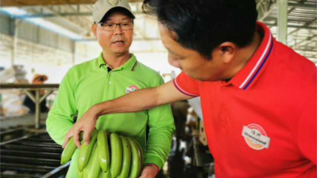 疫情后中国第一份自贸协定签订，互免关税程度为迄今最高
