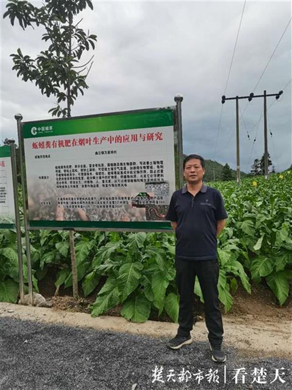 垃圾变身有机肥！高校教师利用小蚯蚓带动乡村土壤修复大工程