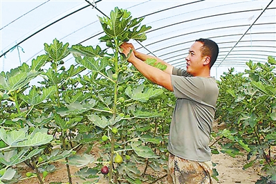 【中国的脱贫智慧】故土亦有沃土