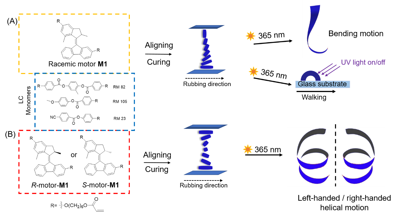 华南先进光电子研究院陈家文教授课题组在《Angewandte Chemie International Edition》以及《Advanced Materials》发表高水平研究成果