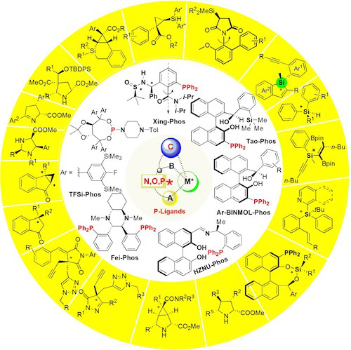 发展的新型手性膦配体及其在构建季碳/硅和多手性中心化合物中的应用