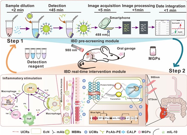 生命科学学院常津团队王汉杰ACSNano发表论文：光遗传学取得新进展