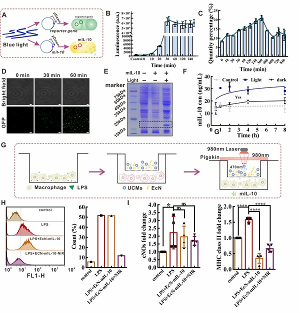 生命科学学院常津团队王汉杰ACSNano发表论文：光遗传学取得新进展