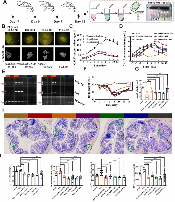 生命科学学院研究团队ACSNano发表论文：光遗传学取得新进展