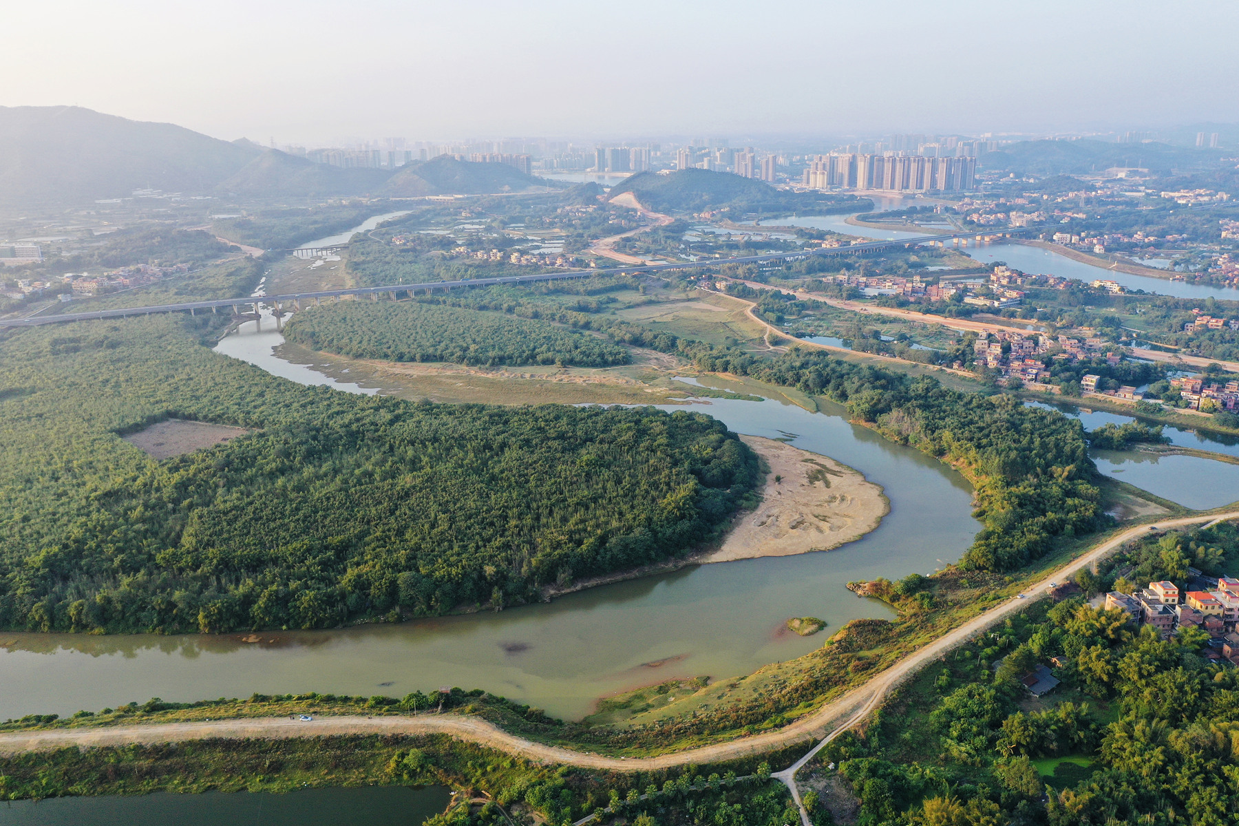 广东四会：俯瞰湿地