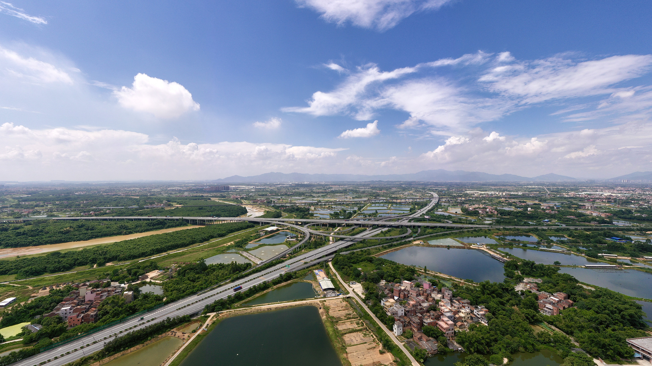 广东四会：俯瞰湿地
