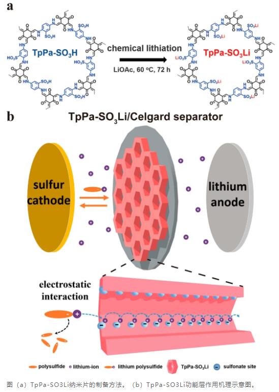 天津大学化工学院孙洁/姜忠义/潘福生NanoLetters封面文章：离子选择性共价有机框架材料增强