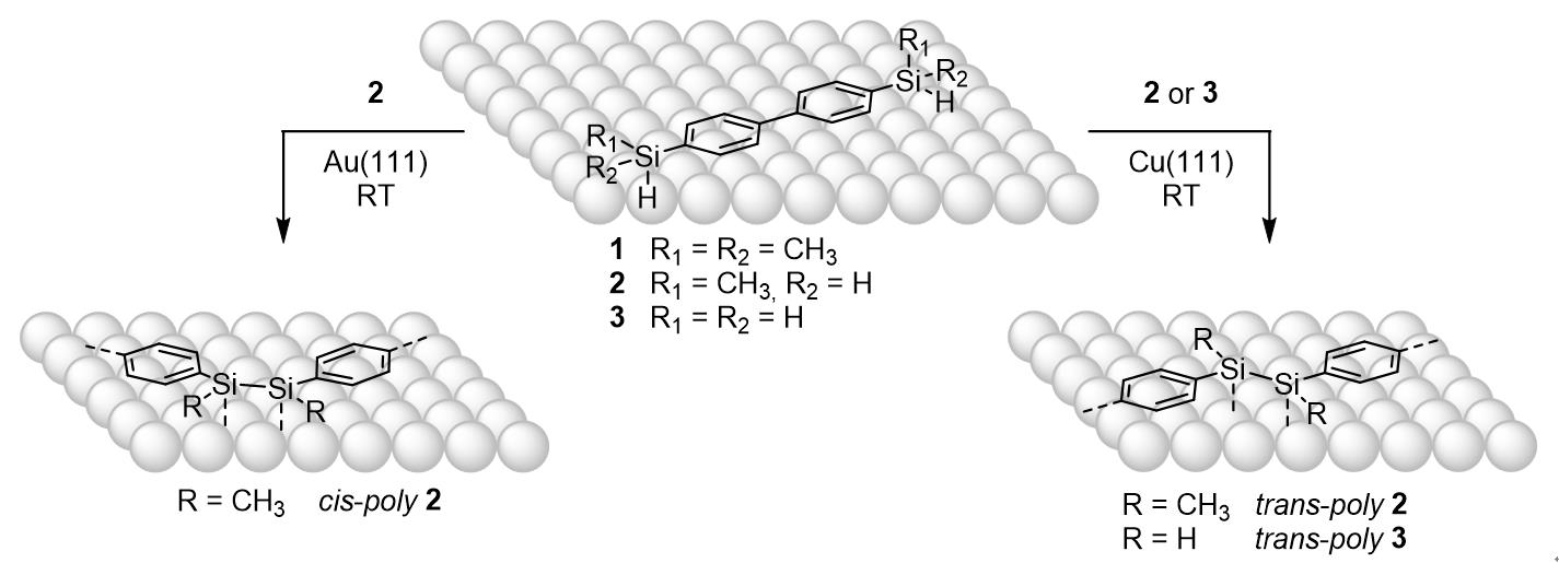 天津大学高洪营教授在NatureChemistry上发表论文：表面催化硅烷基脱氢聚合反应研究