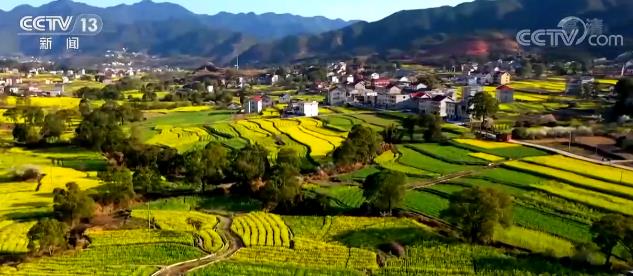 住房领域三项基本公共服务项目 为保障困难群众基本住房需求提供有力保证