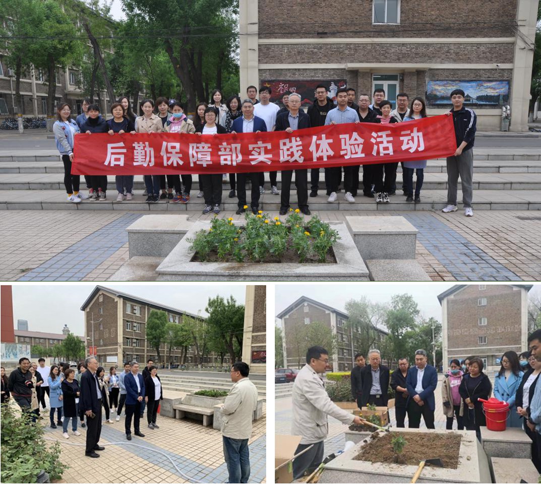 【实践体验活动】花坛披锦绣，笑颜迎五一