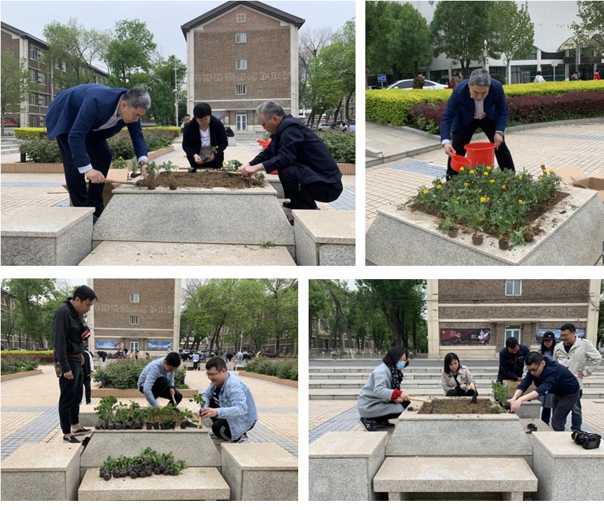 【实践体验活动】花坛披锦绣，笑颜迎五一