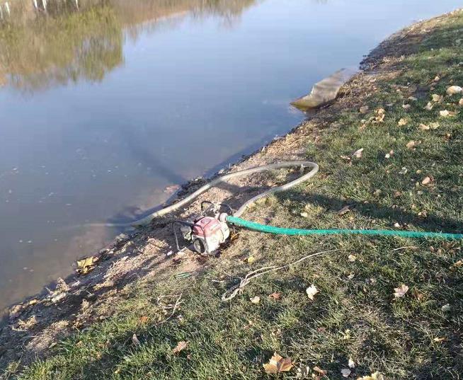 北洋园校区绿化节水行动筑起校园绿色屏障