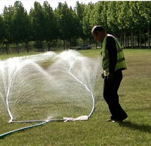 北洋园校区绿化节水行动筑起校园绿色屏障