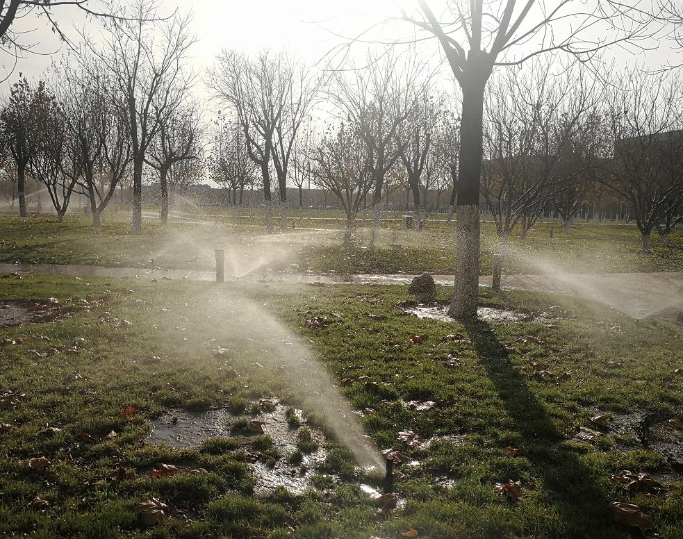 北洋园校区绿化节水行动筑起校园绿色屏障