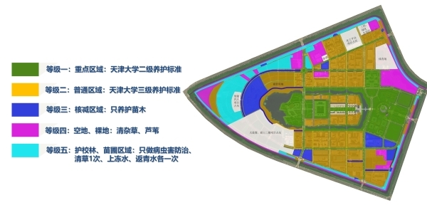 北洋园校区绿化节水行动筑起校园绿色屏障
