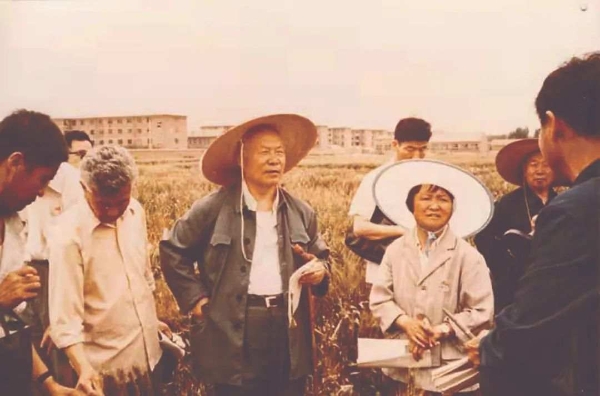蔡旭院士：“抗棍棒”的小麦人生
