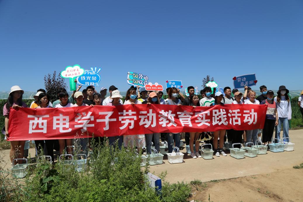 【我为师生办实事】劳动育人 西电爱心水果暖人心