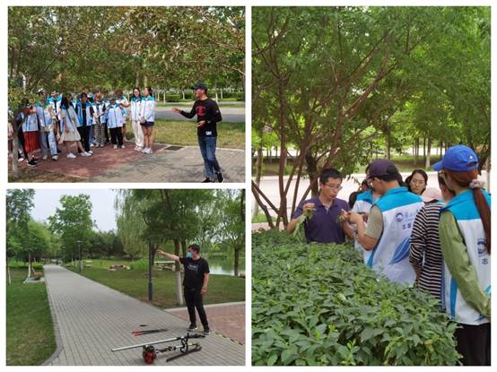 浑南校区管理委员会开展“共享校园生机—绿化养护观摩”活动