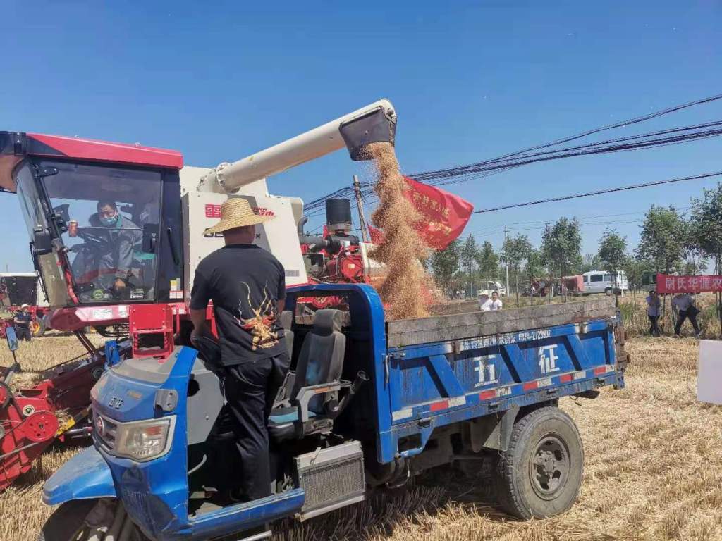 河南开封：麦收工作提前全部结束 机收率达到99.65%