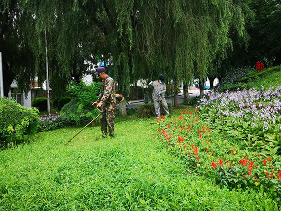 助力文明城市建设 辽科大在行动