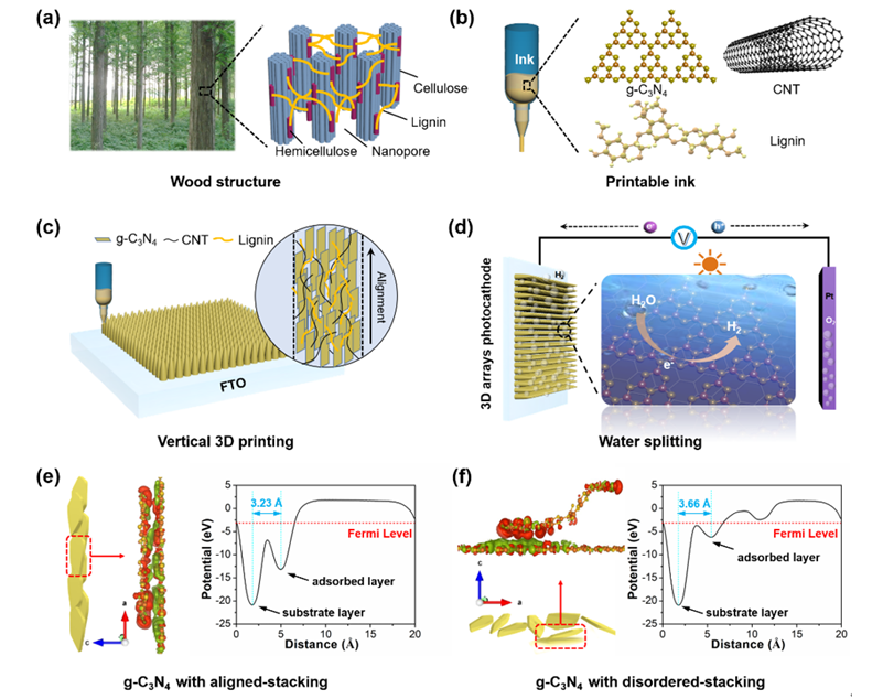 我校青年教师在《Advanced Functional Materials》上发表研究成果