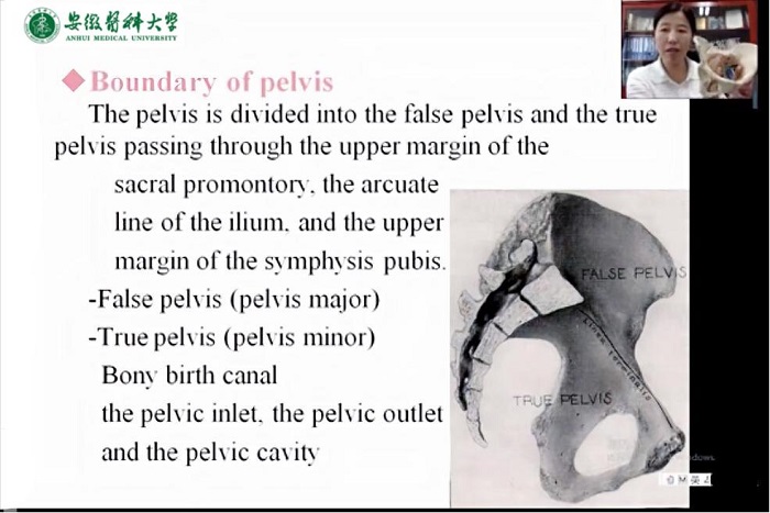 【开学季】我校国际学生新学期首日线上教学运行良好