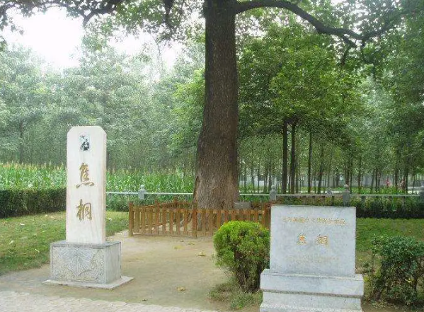【培训心得】赴河南焦裕禄精神党性学习心得