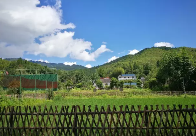 中关村医药（海南）有限公司井冈山党性教育培训有感