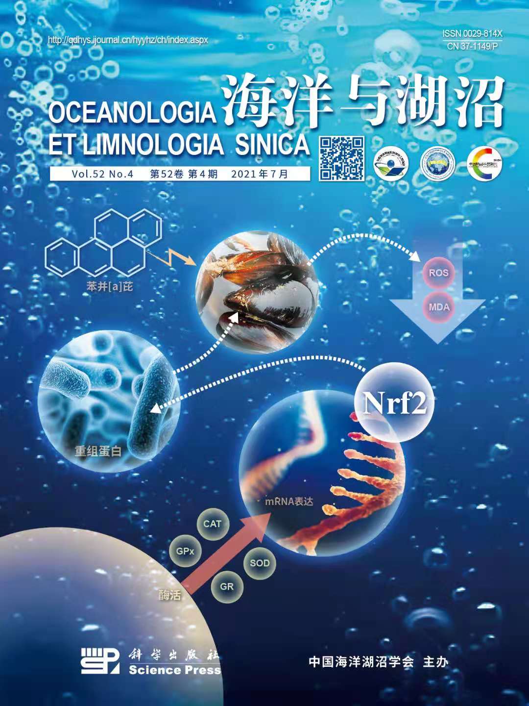《海洋与湖沼》杂志以封面形式发表我校“Nrf2通路参与水生动物氧化应激调控的研究进展”