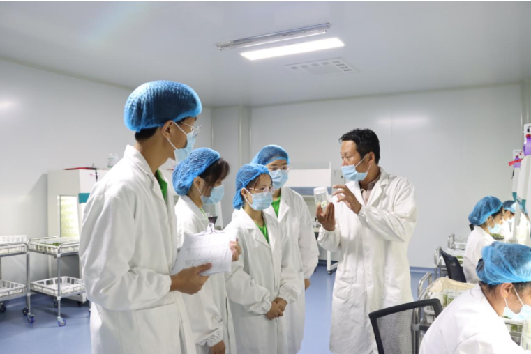 农大学子暑期投身乡村振兴实践 担当强农兴农使命