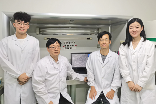 我校在功能性乳腺上皮细胞重编程分子机制及其应用潜力的研究取得突破性进展