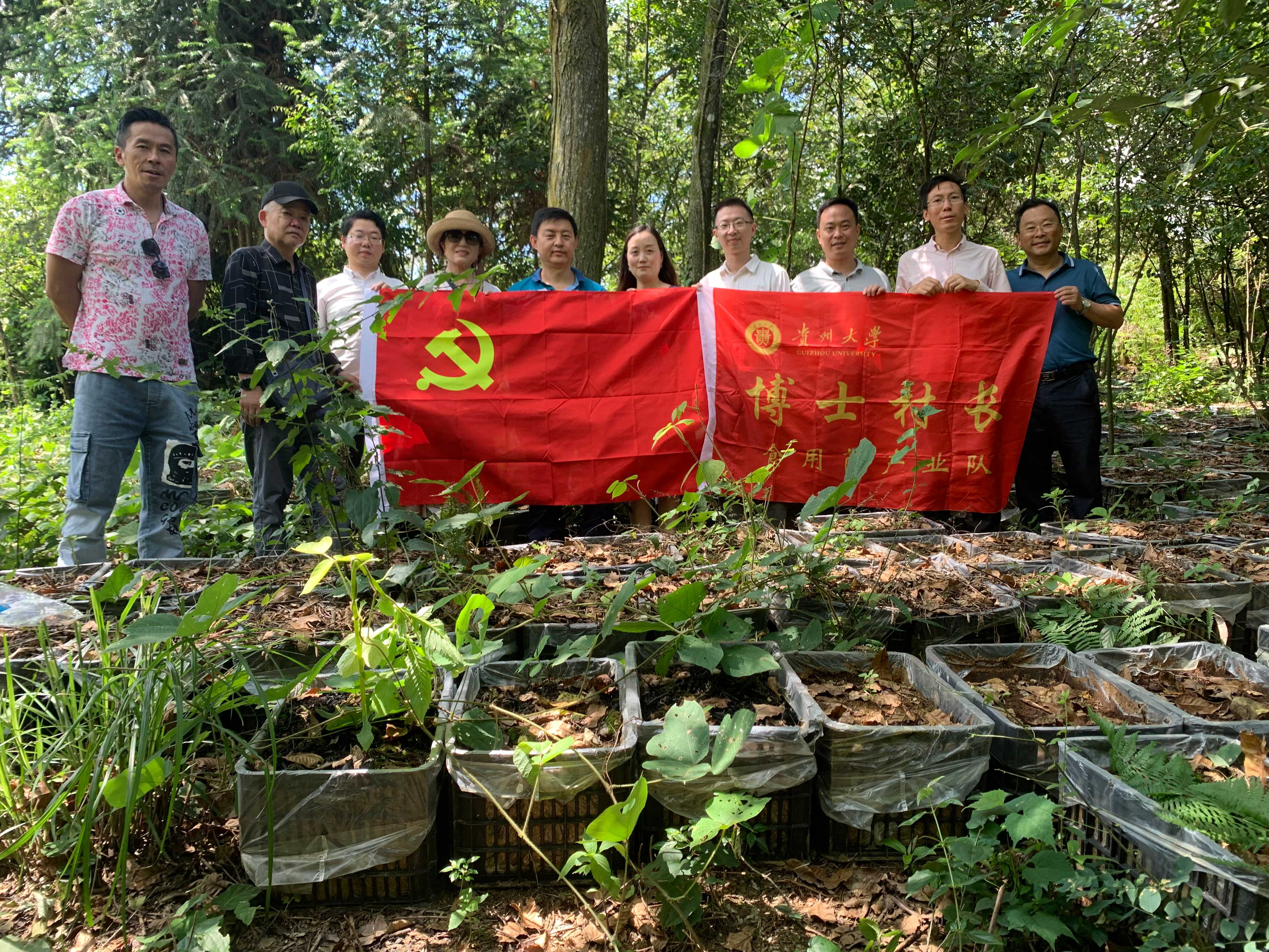 药学院领导专家一行赴镇远县江古镇开展产业技术指导