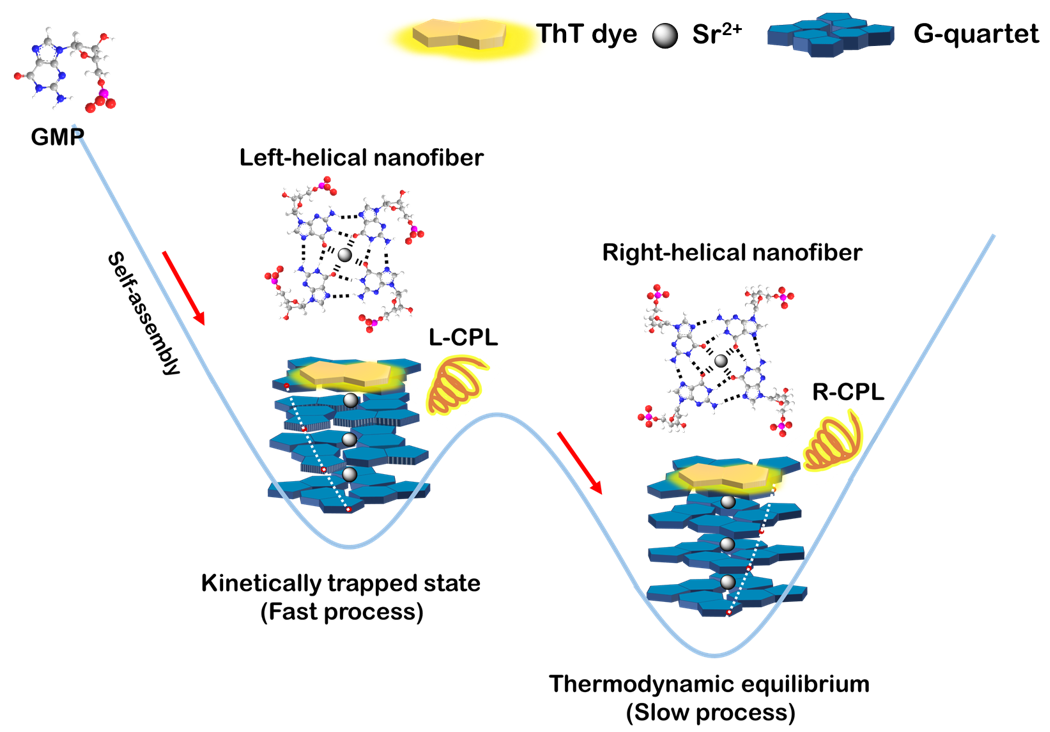 材料基因组工程研究院冯凌燕教授被推荐为2021年度JMCB期刊新锐科学家（Emerging Investigator）