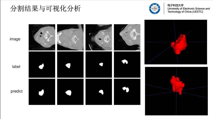 成电学子在中国大学生计算机设计大赛中获佳绩